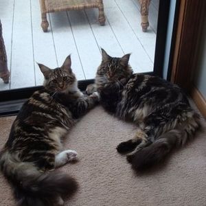 Meet your Posher, Maria